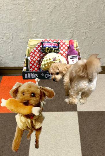 生き物ルーム第51