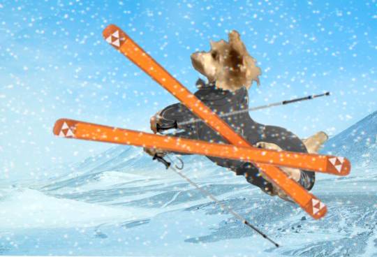 生き物ルーム第51