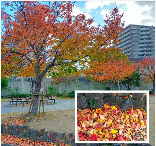 ★ドンキ♡♡ロピア 雑談50★