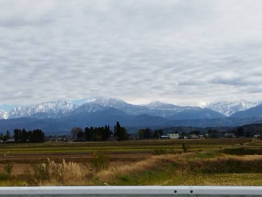 マスク同窓会詰所兼ニューフェイス歓迎所31(野望)