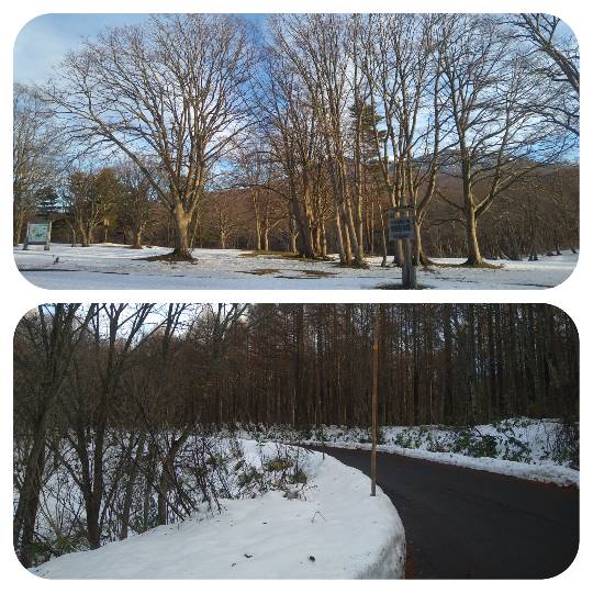 マスク同窓会詰所兼ニューフェイス歓迎所(思いやり)