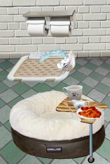 生き物ルーム第51