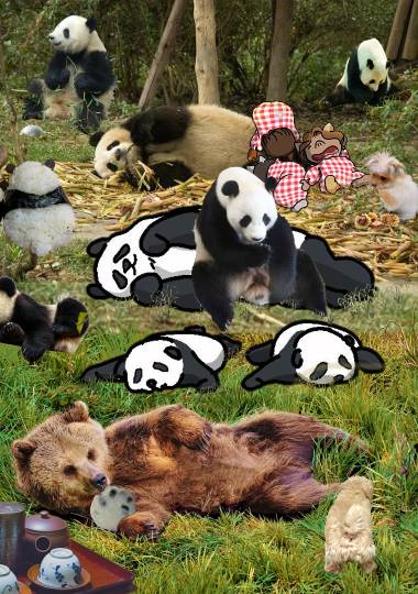 生き物ルーム第51