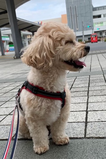 生き物ルーム第51