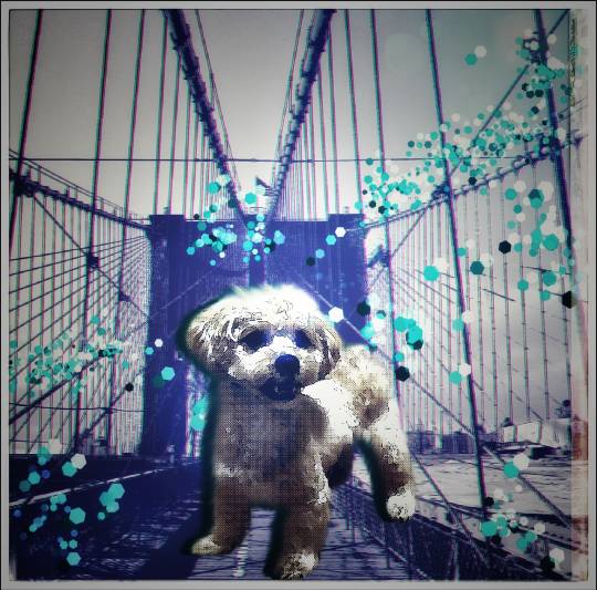 生き物ルーム第51