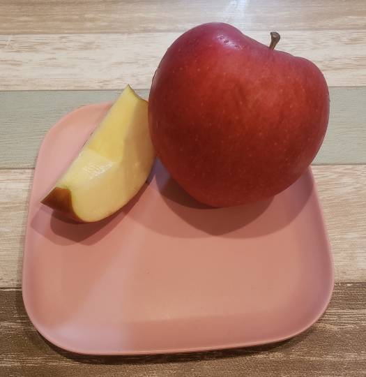 マスク同窓会詰所兼ニューフェイス歓迎所31(野望)