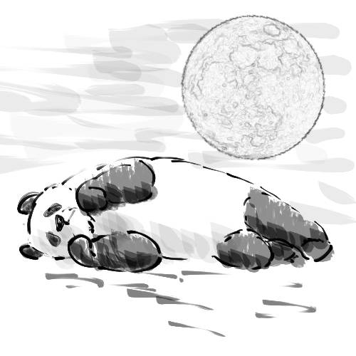 生き物ルーム第51