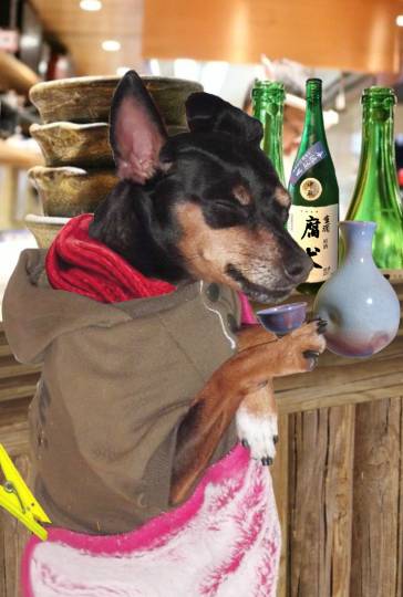 生き物ルーム第51