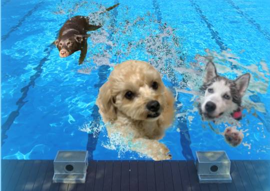 生き物ルーム第51