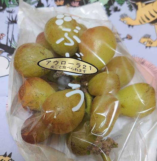 【スナックJINJIN】17号店　Seventeenといえば青春真っ只中!!