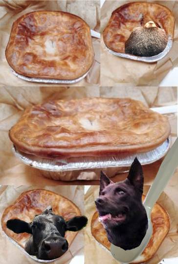 生き物ルーム第51