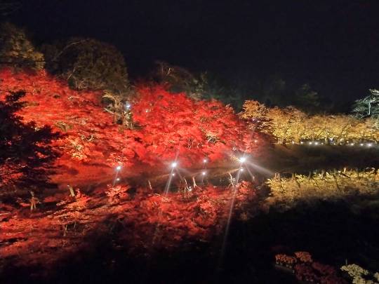 マスク同窓会詰所兼ニューフェイス歓迎所31(野望)