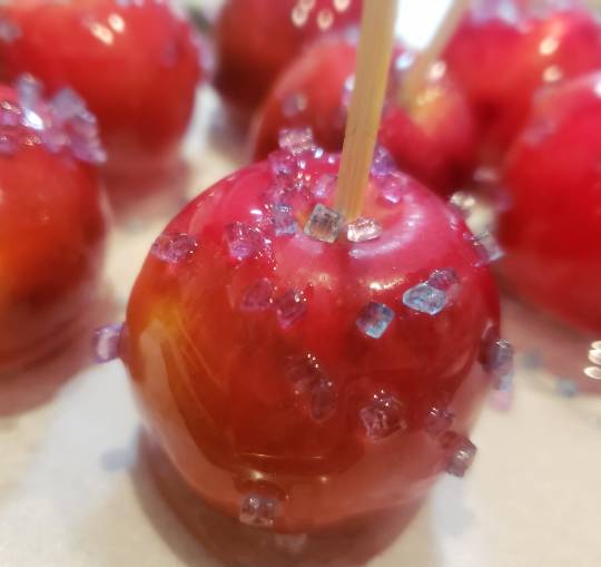 マスク同窓会詰所兼ニューフェイス歓迎所31(野望)