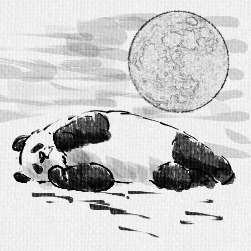 生き物ルーム第51