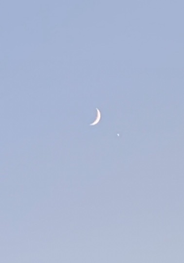 ★ドンキ♡♡ロピア 雑談48★