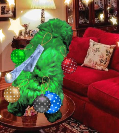 生き物ルーム第51