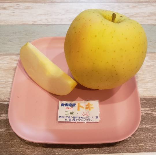 マスク同窓会詰所兼ニューフェイス歓迎所31(野望)