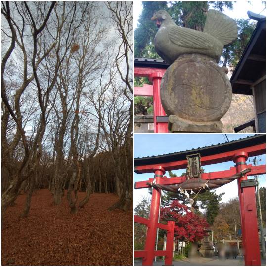 マスク同窓会詰所兼ニューフェイス歓迎所31(野望)