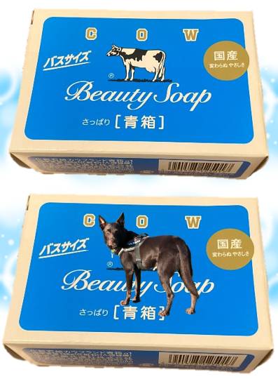 生き物ルーム第51