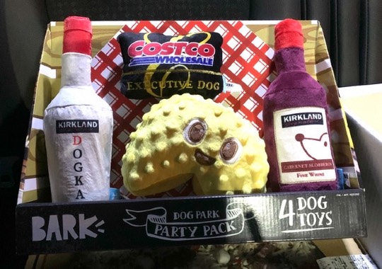 生き物ルーム第51