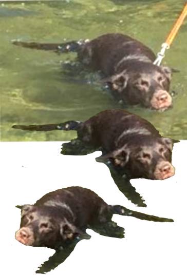 生き物ルーム第51