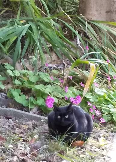 【スナックJINJIN】17号店 Seventeenといえば青春真っ只中!!