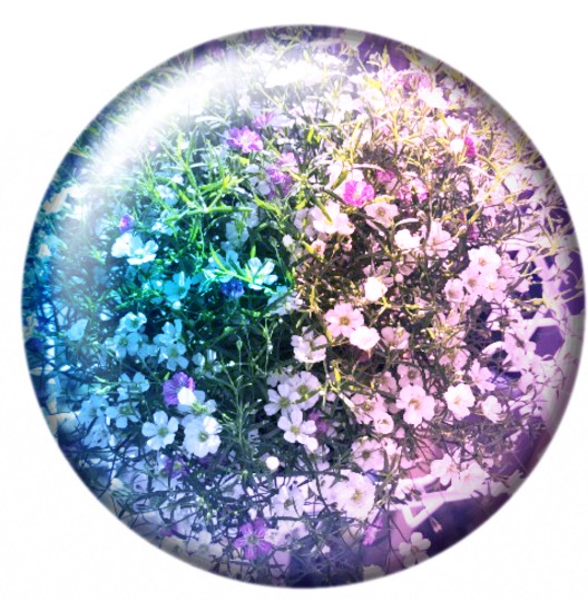 ★ドンキ♡♡ロピア 雑談48★