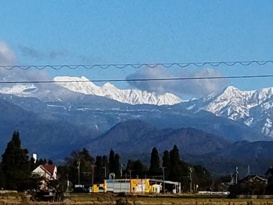 マスク同窓会詰所兼ニューフェイス歓迎所31(野望)