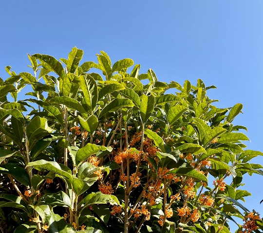 ★ドンキ♡♡ロピア 雑談48★