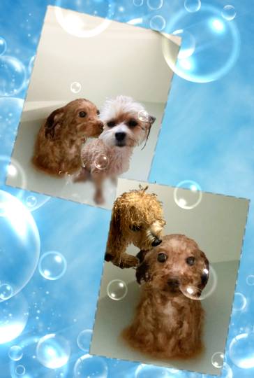 生き物ルーム第51