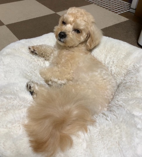 生き物ルーム第51