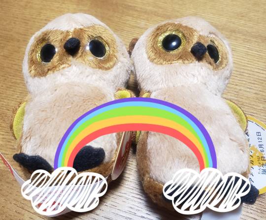 マスク同窓会詰所兼ニューフェイス歓迎所31(野望)