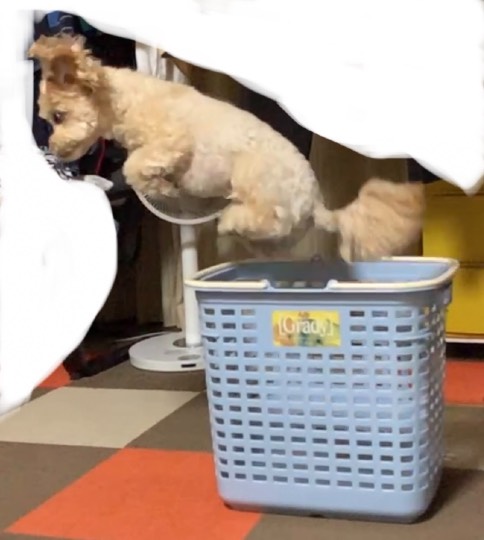 生き物ルーム第51