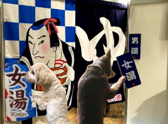 生き物ルーム第51