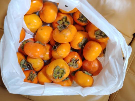 ★ドンキ♡♡ロピア 雑談48★