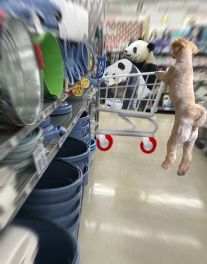 生き物ルーム第51