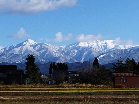 マスク同窓会詰所兼ニューフェイス歓迎所(思いやり)