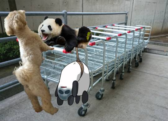 生き物ルーム第51