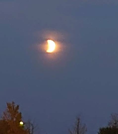 ★ドンキ♡♡ロピア 雑談49★