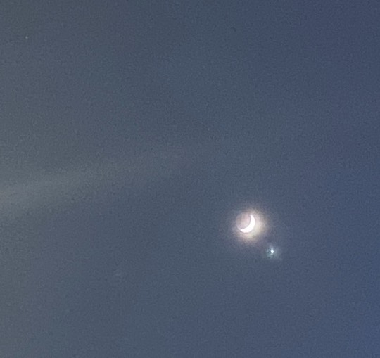 ★ドンキ♡♡ロピア 雑談48★