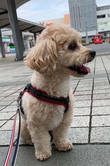 生き物ルーム第51