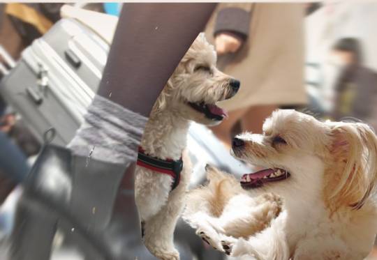 生き物ルーム第51