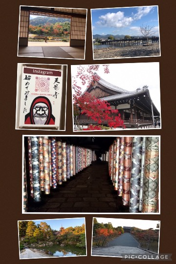 ★ドンキ♡♡ロピア 雑談48★