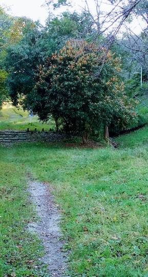 【スナックJINJIN】17号店 Seventeenといえば青春真っ只中!!