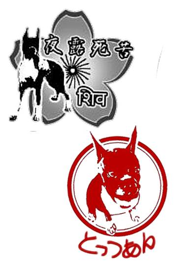 生き物ルーム第51