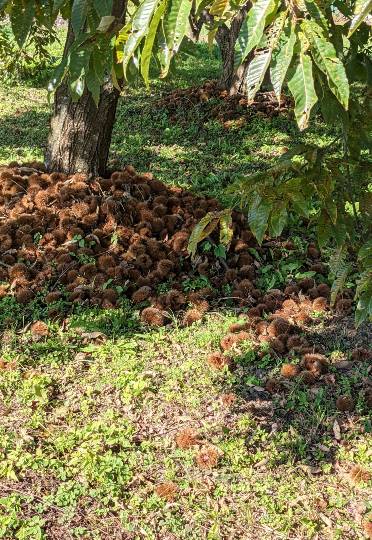 雑談お絵描き部・コラージュ部・素材提供部 No.１２　画像投稿のお悩みはコチラへ