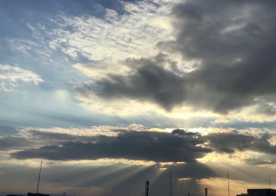 ★ドンキ♡♡ロピア 雑談50★