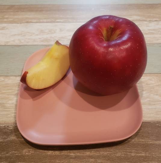 マスク同窓会詰所兼ニューフェイス歓迎所(思いやり)