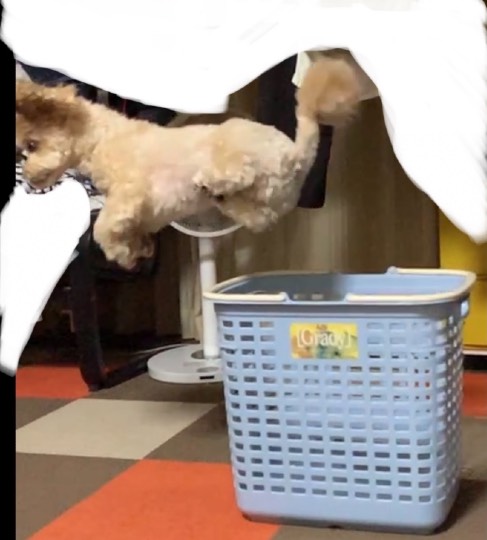 生き物ルーム第51