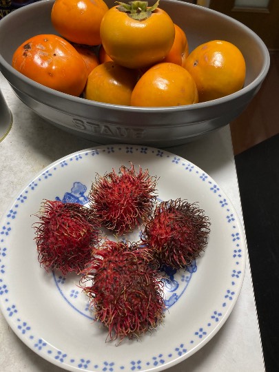 ◆(13)関西版 雑談◆〜関西以外の方も話の輪にどうぞ♪